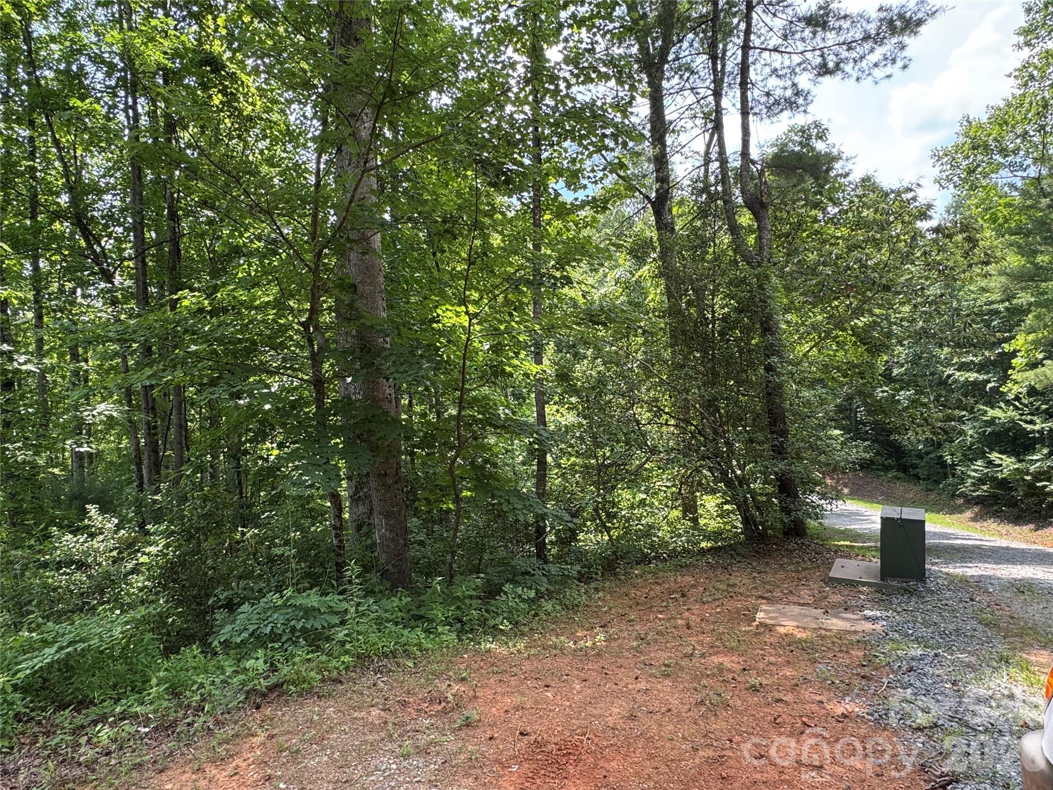10 Acres, Lot 528, Scenic Vista Trail 528 Property Photo 6