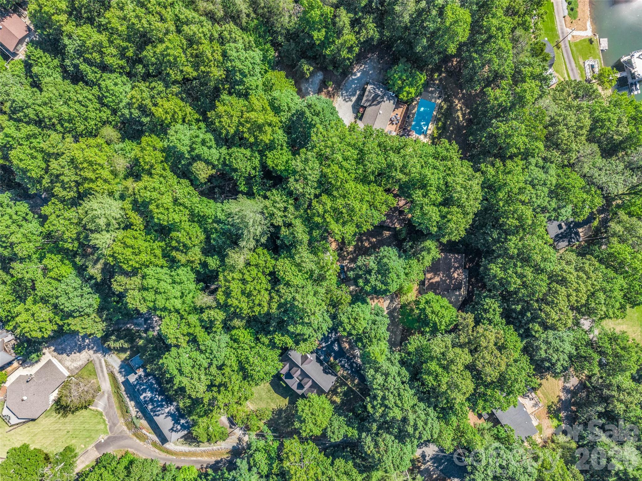 1208 Forest Lake Heights Drive Property Photo 43
