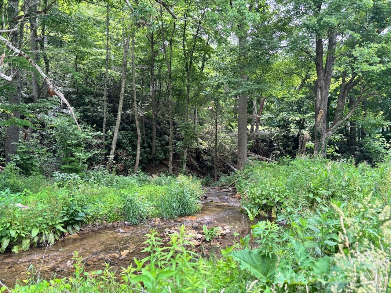 1771 Hughes Gap Road Property Photo 3