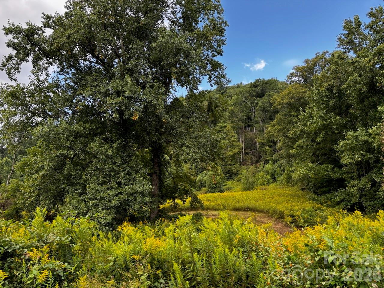 1771 Hughes Gap Road Property Photo 4