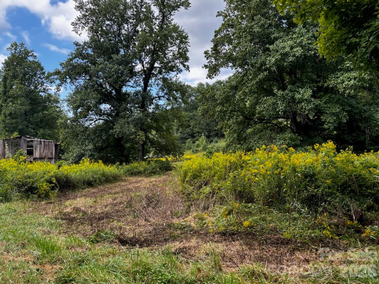 1771 Hughes Gap Road Property Photo 5