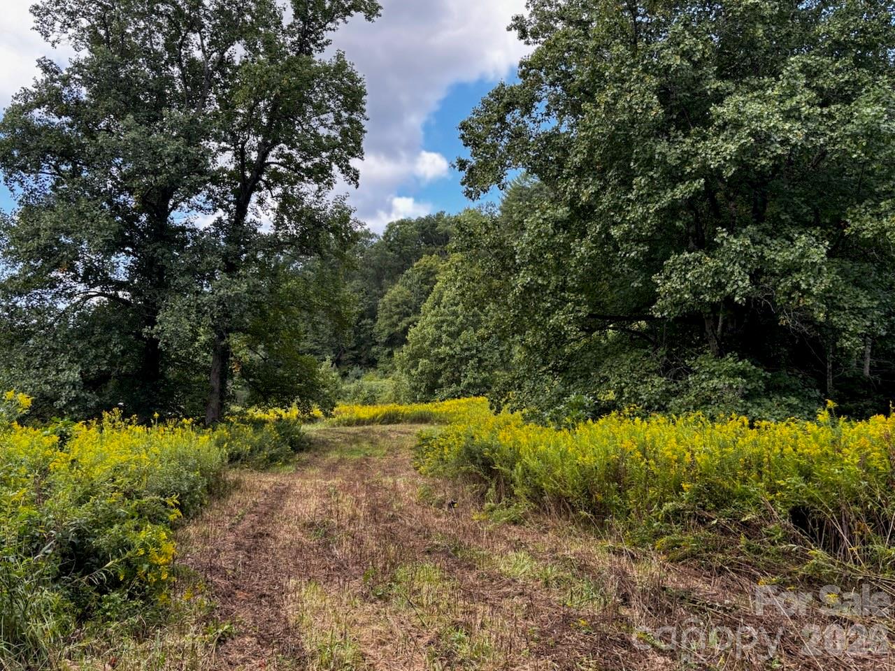 1771 Hughes Gap Road Property Photo 6