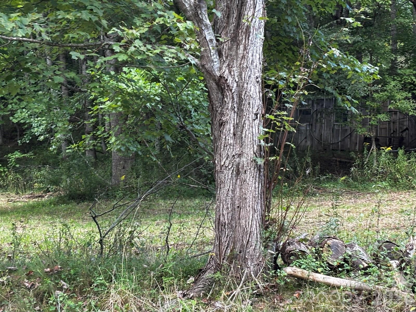 1771 Hughes Gap Road Property Photo 10