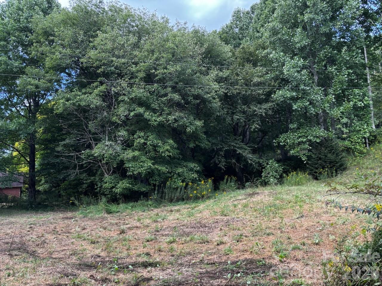1771 Hughes Gap Road Property Photo 13
