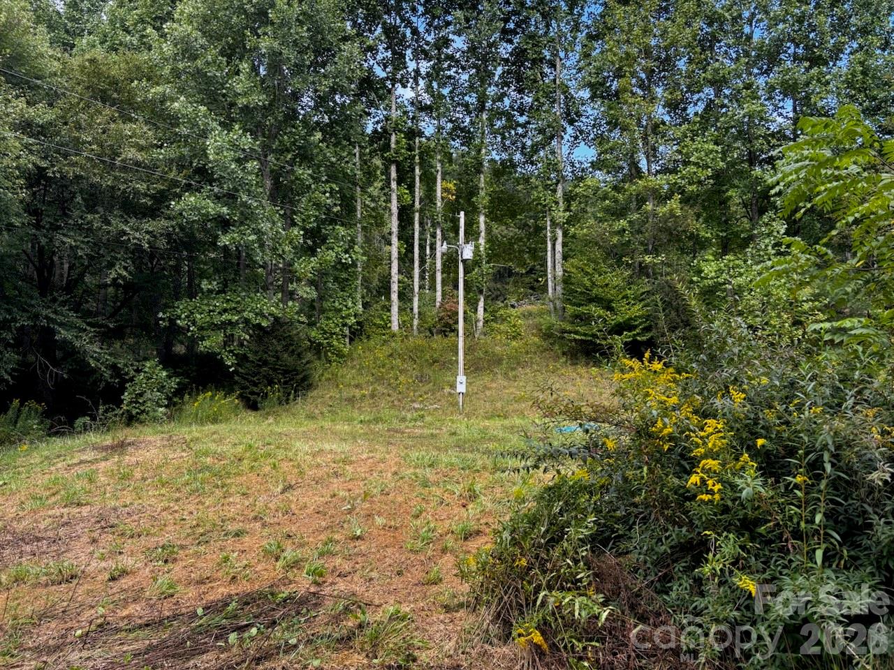 1771 Hughes Gap Road Property Photo 14