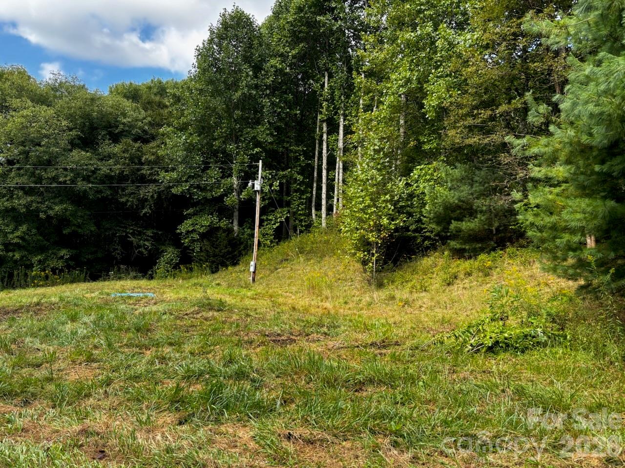 1771 Hughes Gap Road Property Photo 15