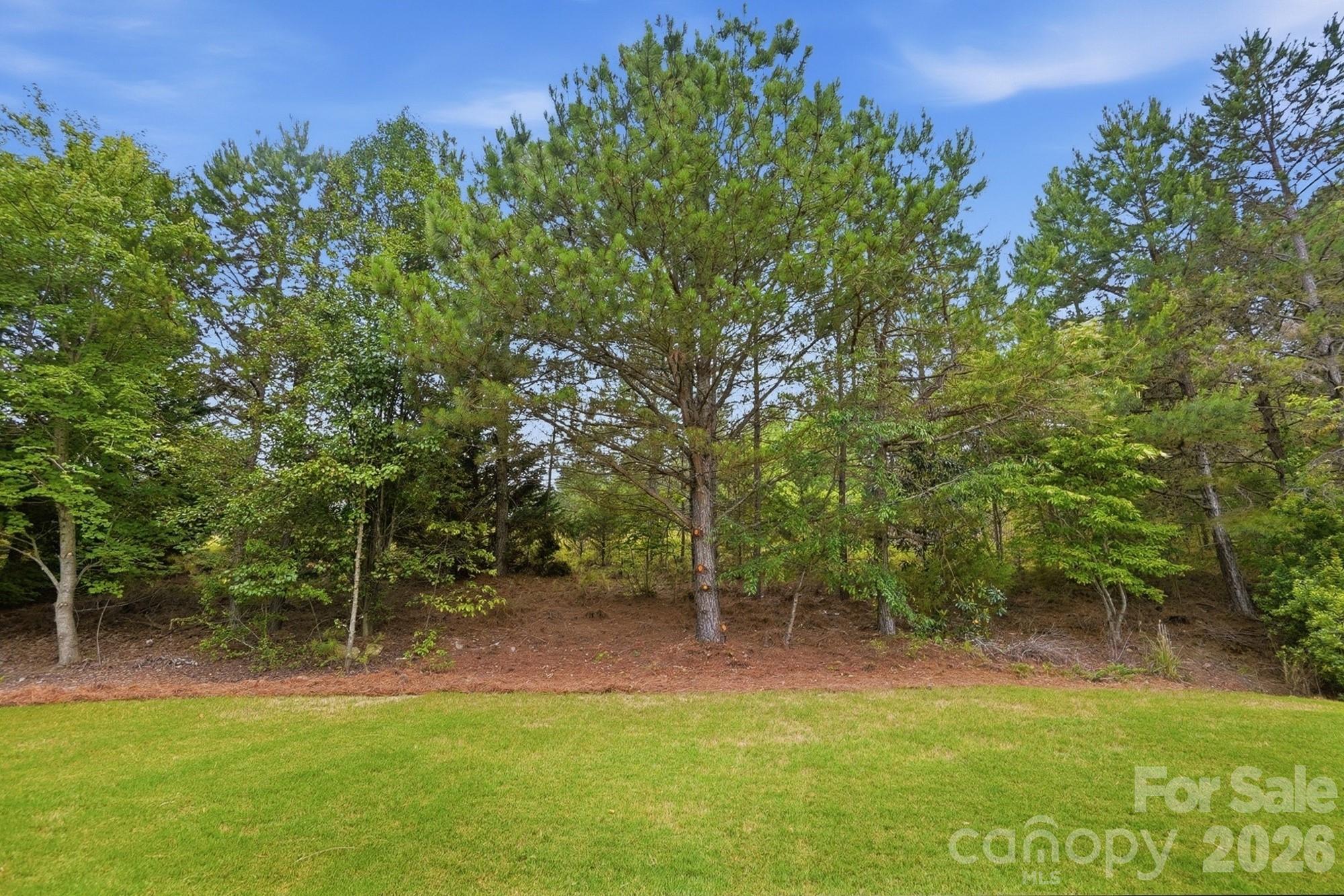 1424 Ridge Haven Road Property Photo 39