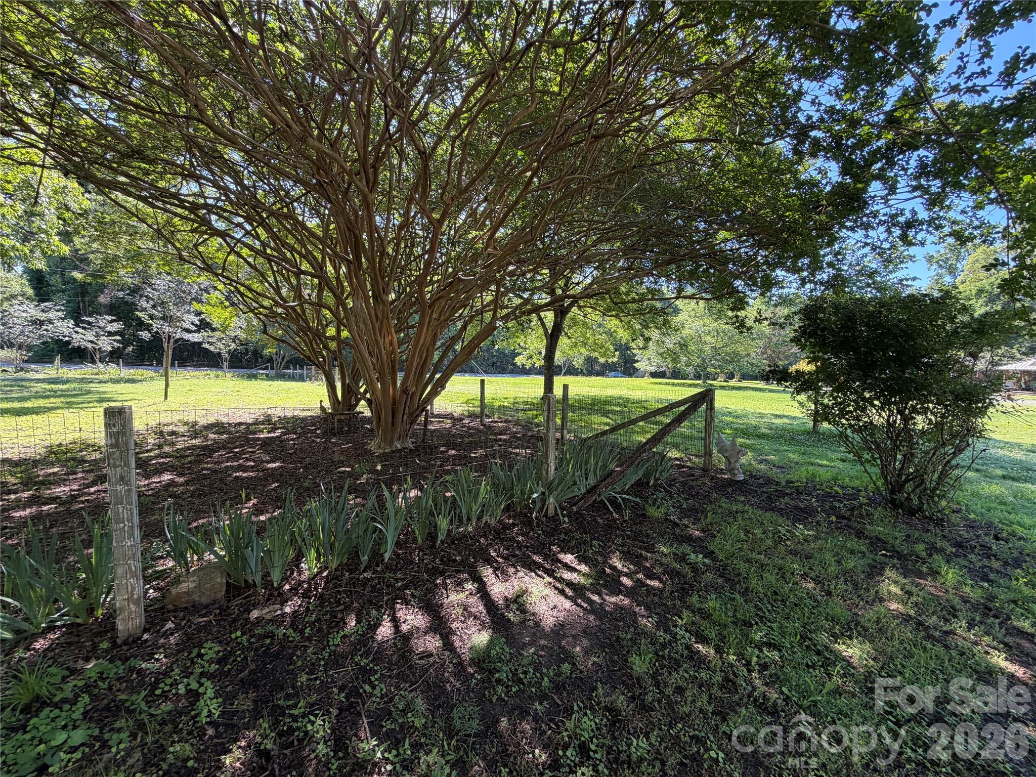 3538 Back Creek Church Road Property Photo 5
