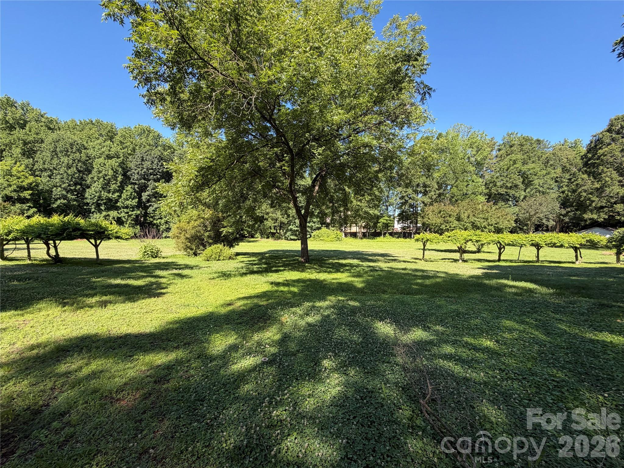 3538 Back Creek Church Road Property Photo 10