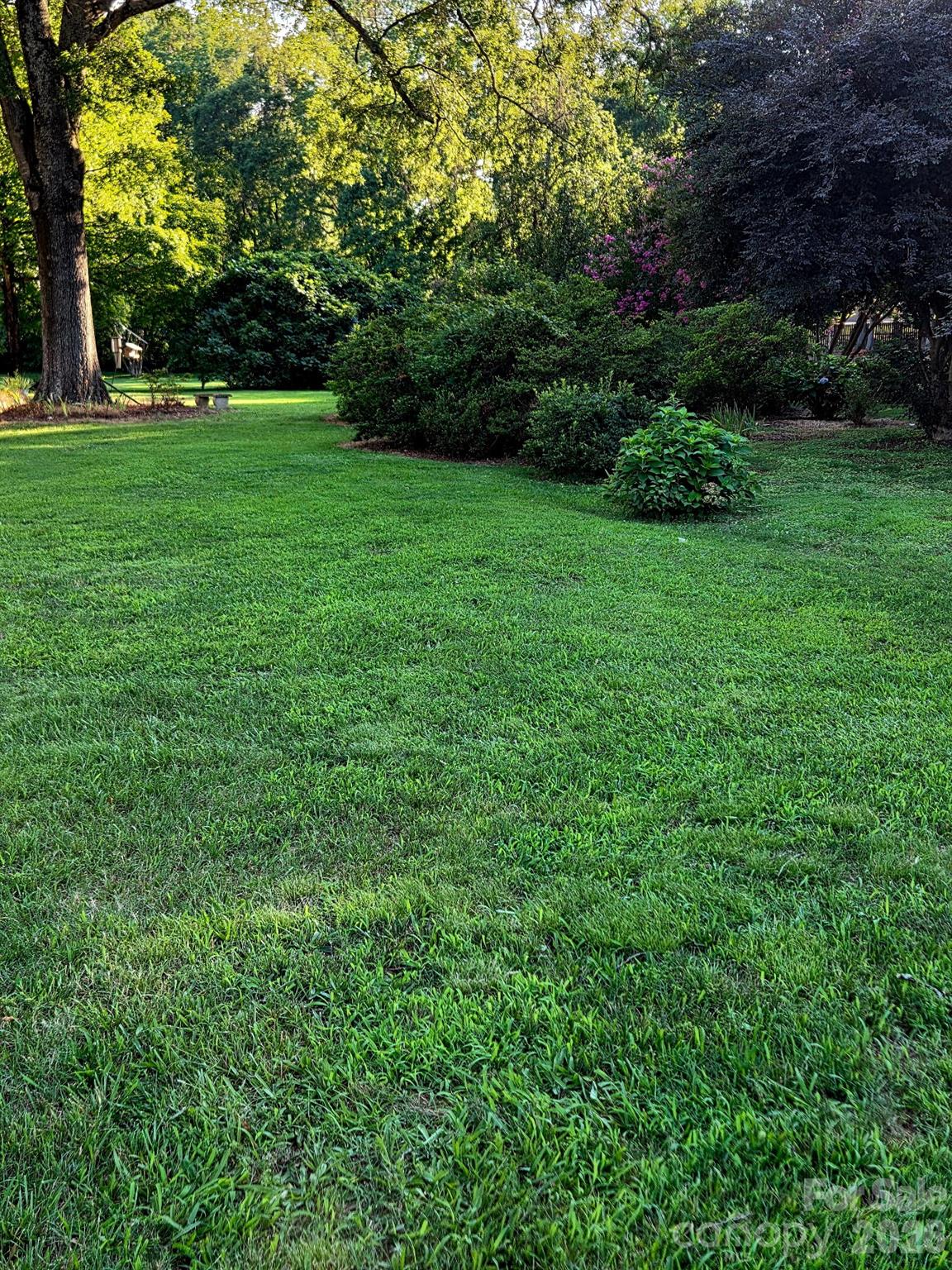 3538 Back Creek Church Road Property Photo 15