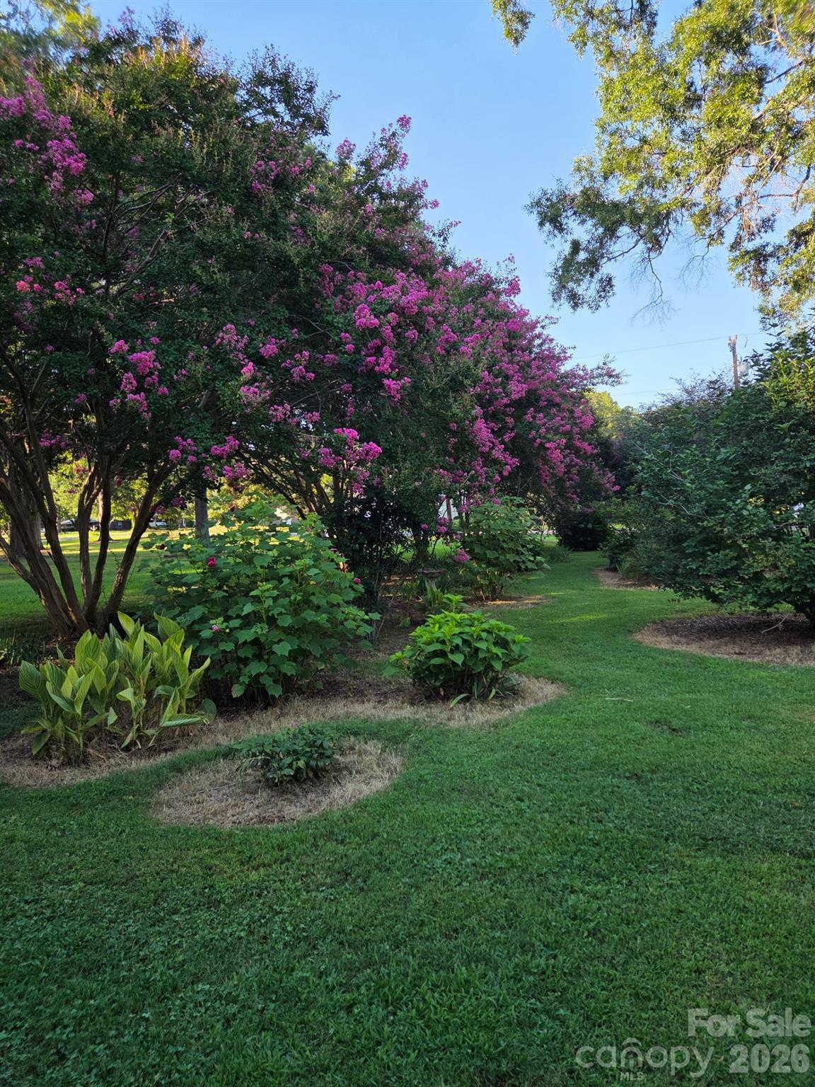 3538 Back Creek Church Road Property Photo 16