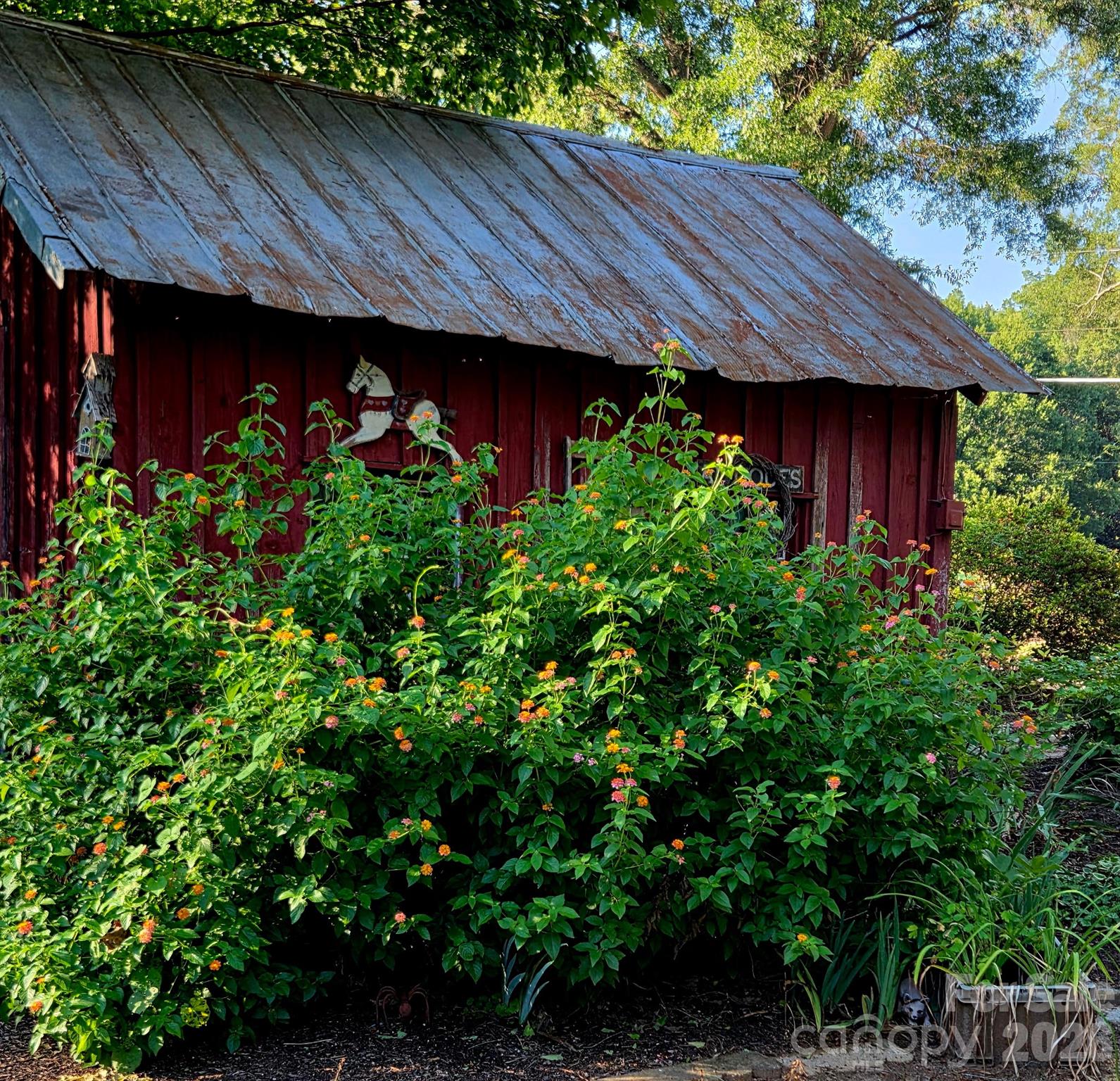 3538 Back Creek Church Road Property Photo 17