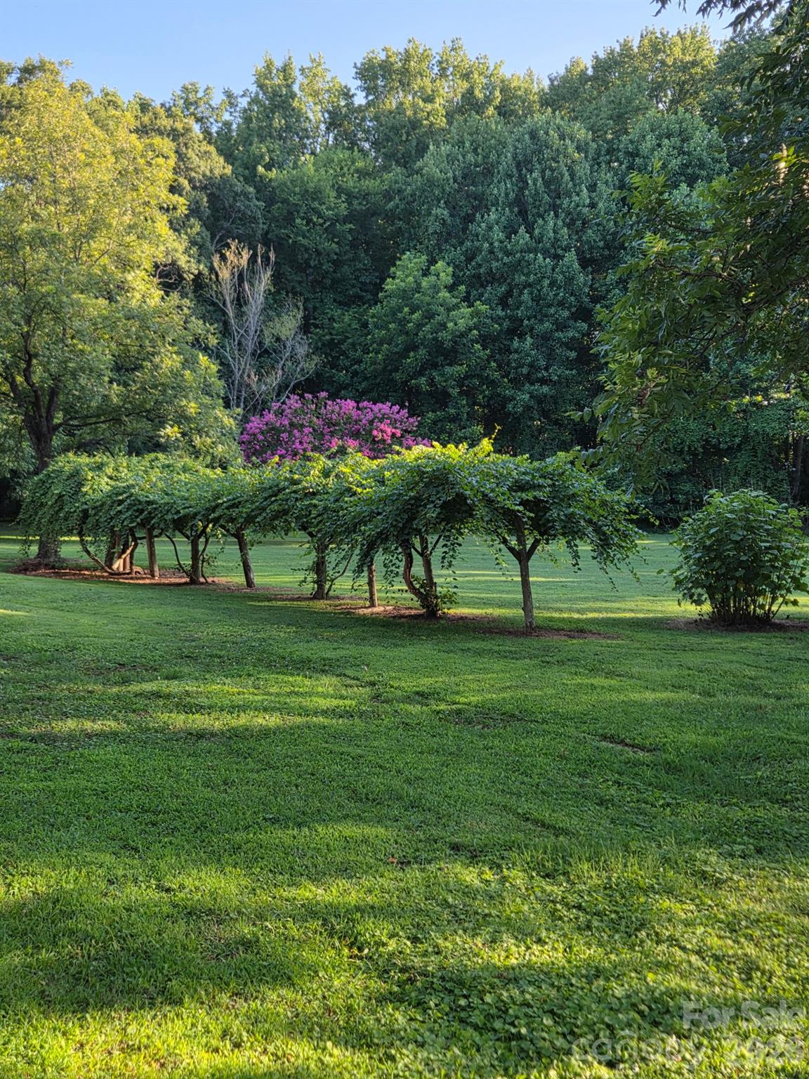 3538 Back Creek Church Road Property Photo 18