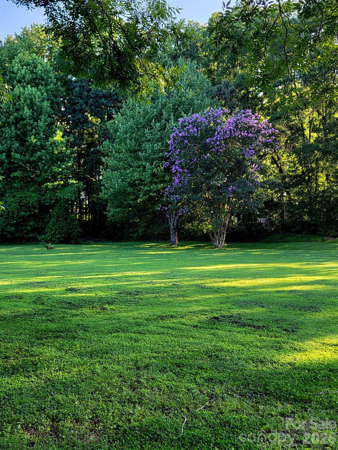 3538 Back Creek Church Road Property Photo 19