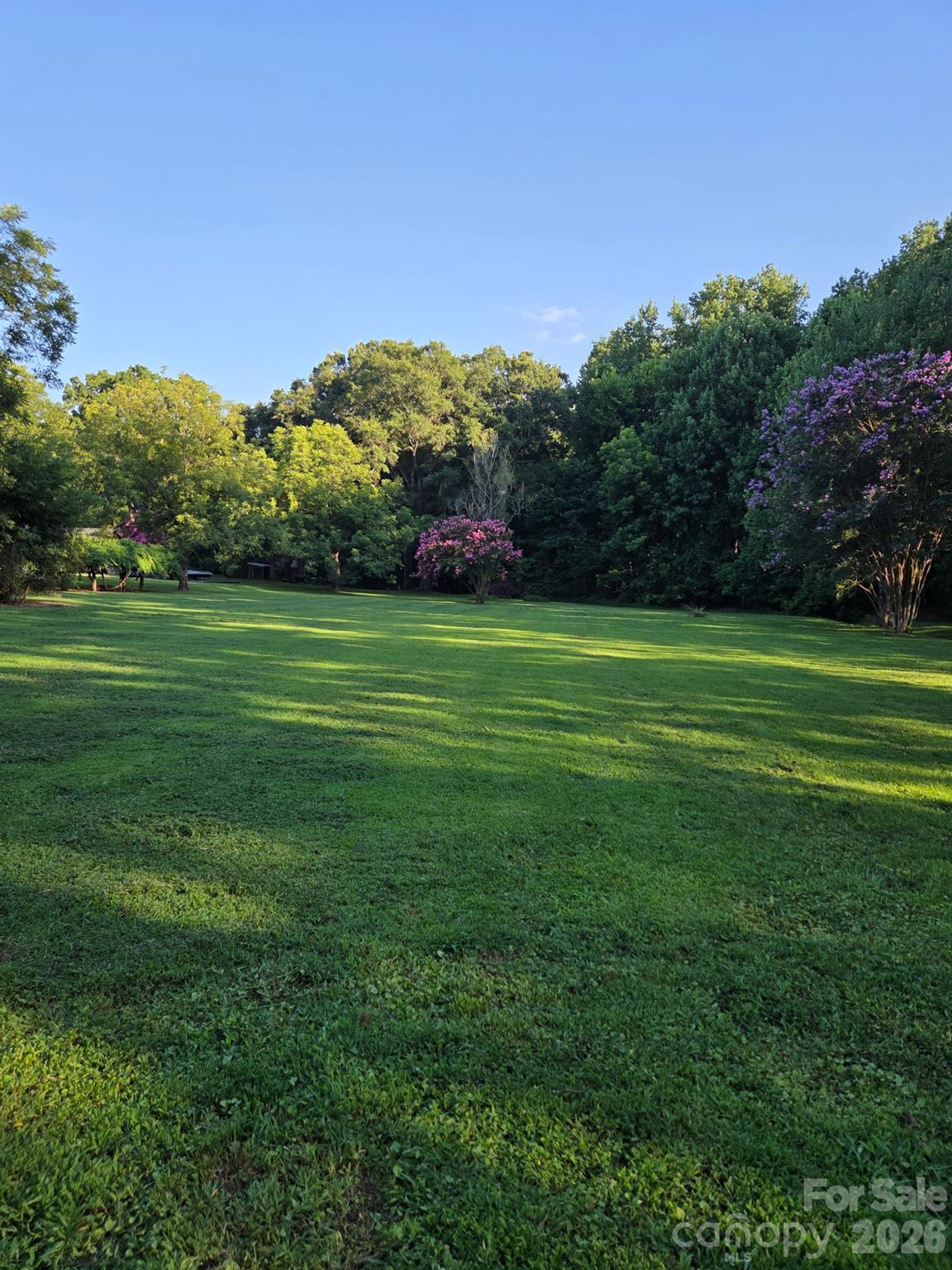 3538 Back Creek Church Road Property Photo 20