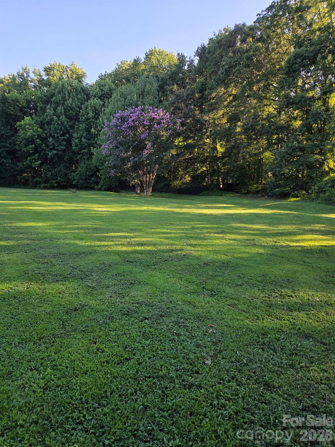3538 Back Creek Church Road Property Photo 21