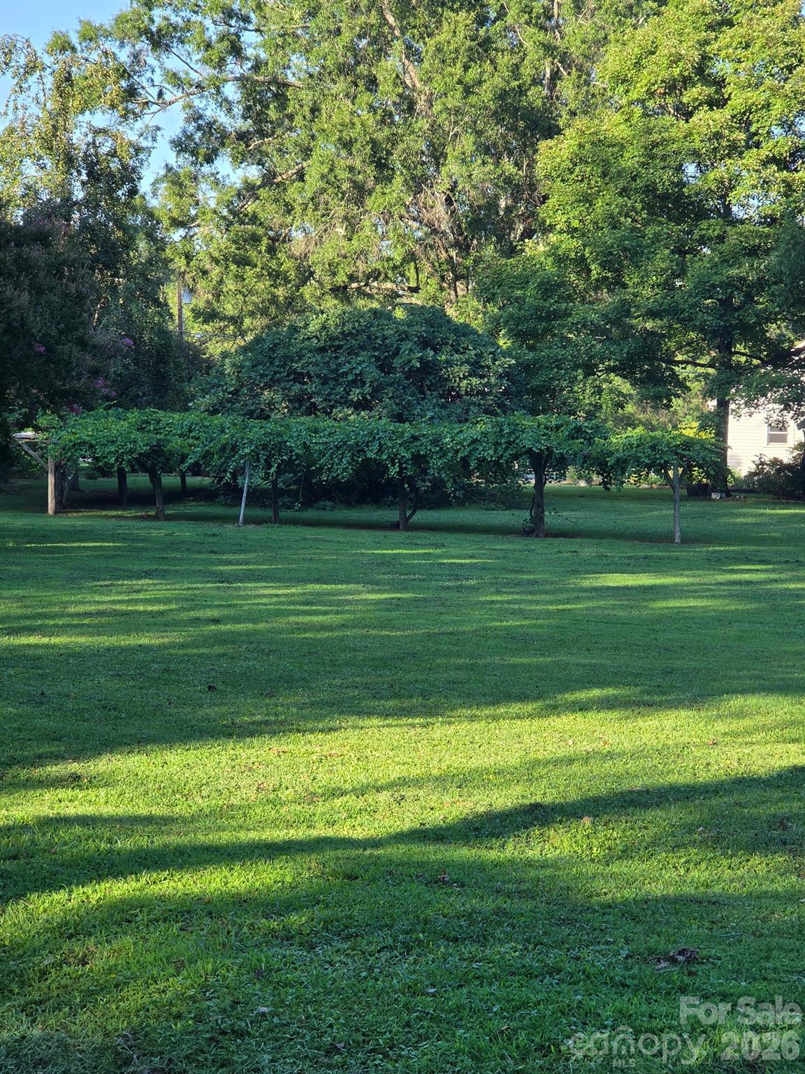 3538 Back Creek Church Road Property Photo 23
