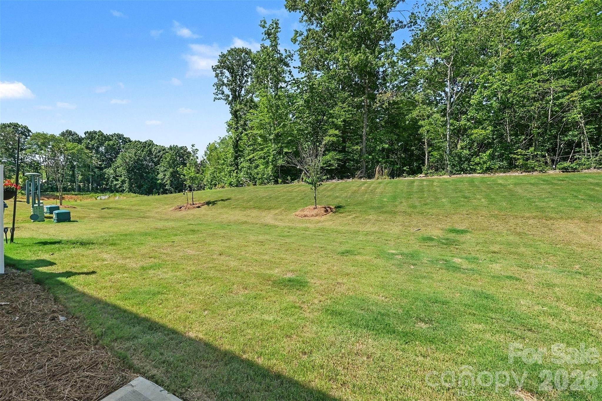 5341 Cherrie Kate Court Property Photo 21