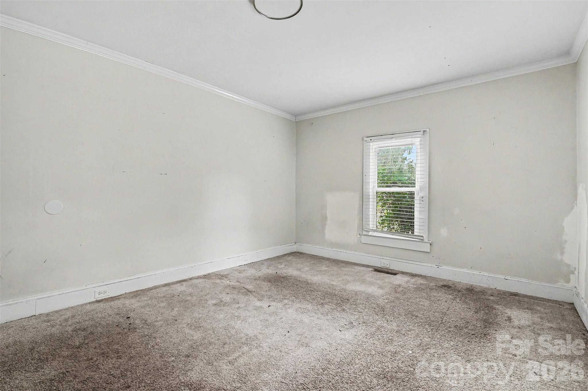 80 Kerr Street Property Photo 22
