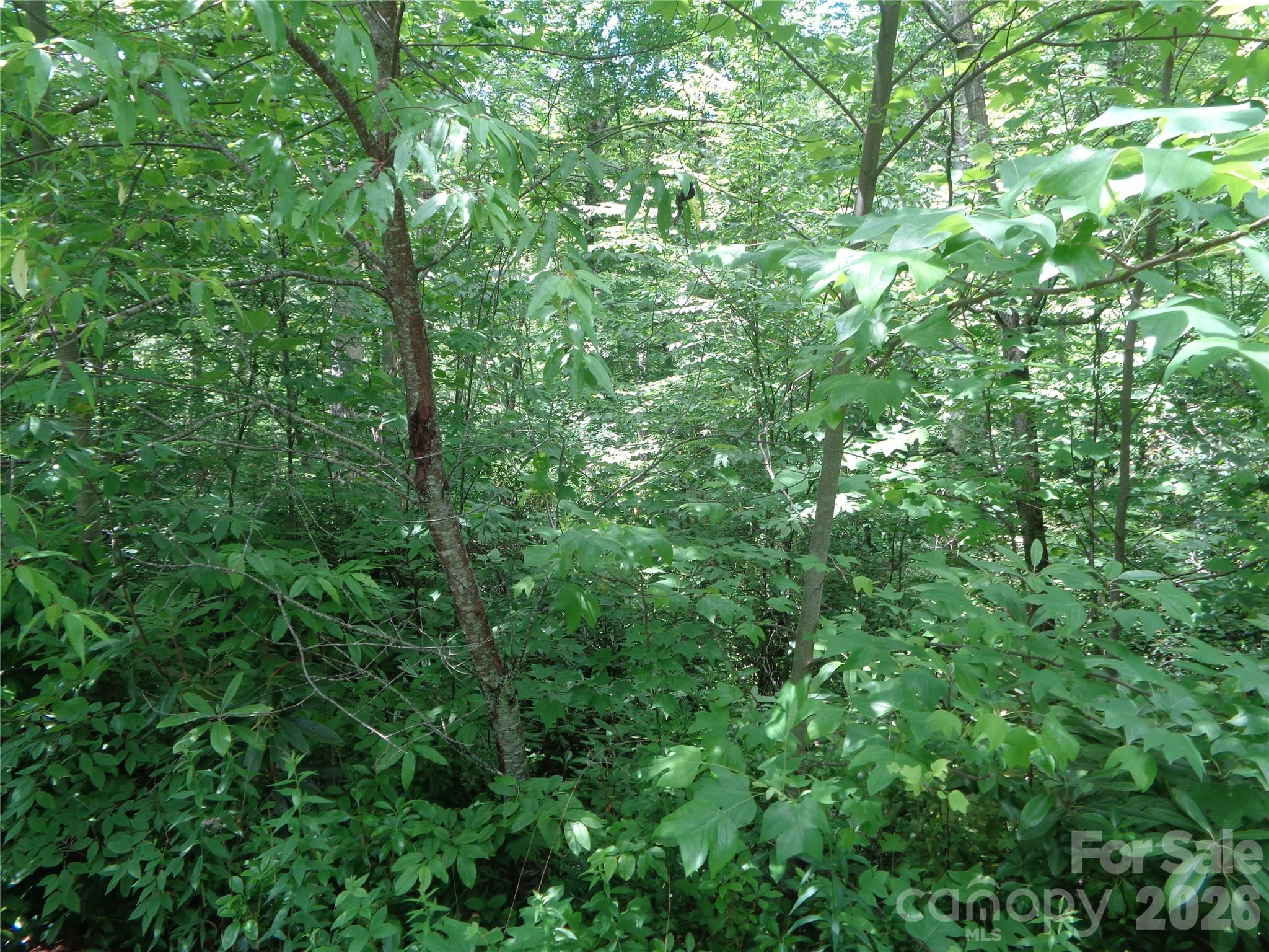 Lot 6 Peaks Creek Trail Property Photo 5