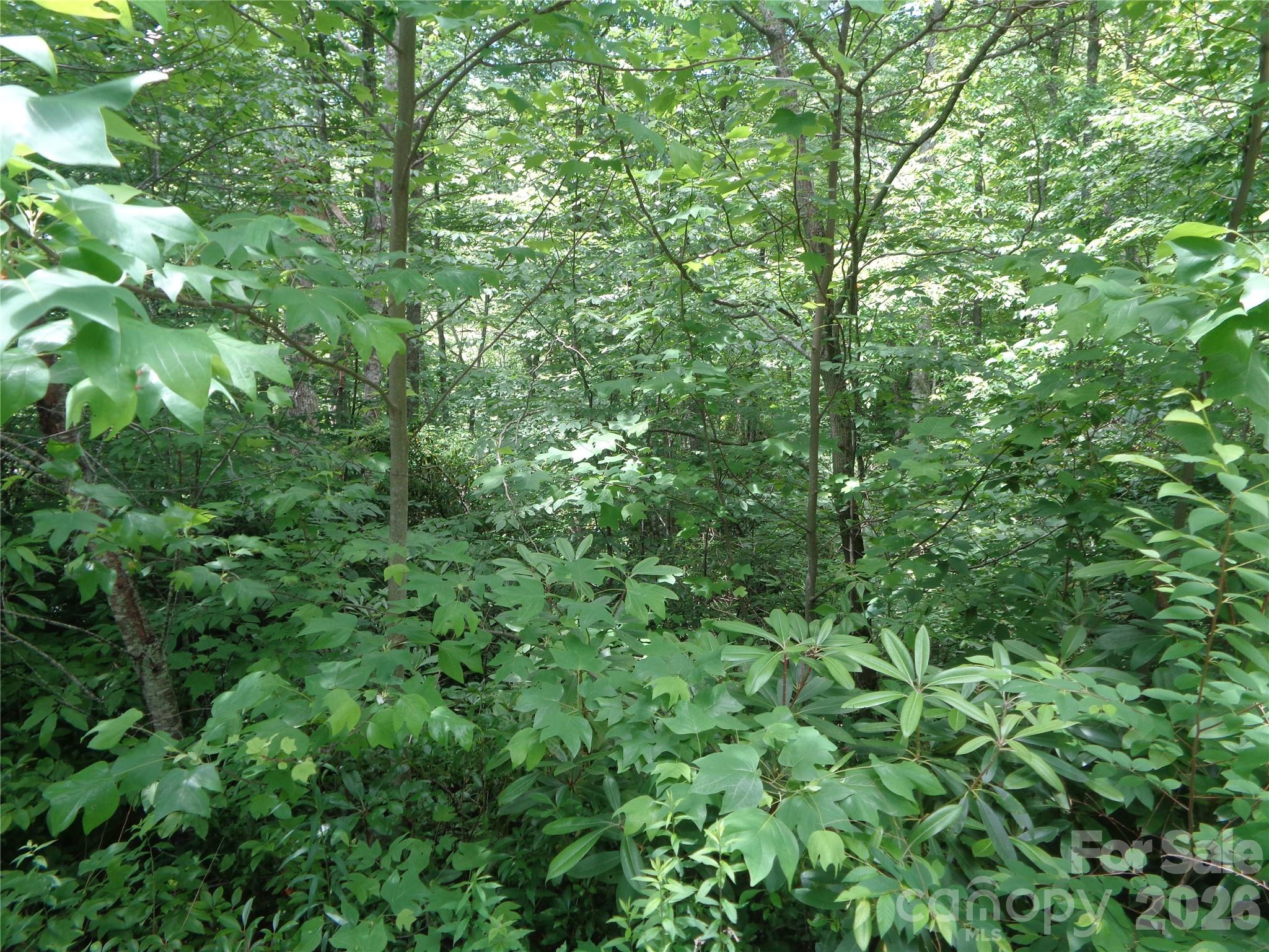 Lot 6 Peaks Creek Trail Property Photo 6