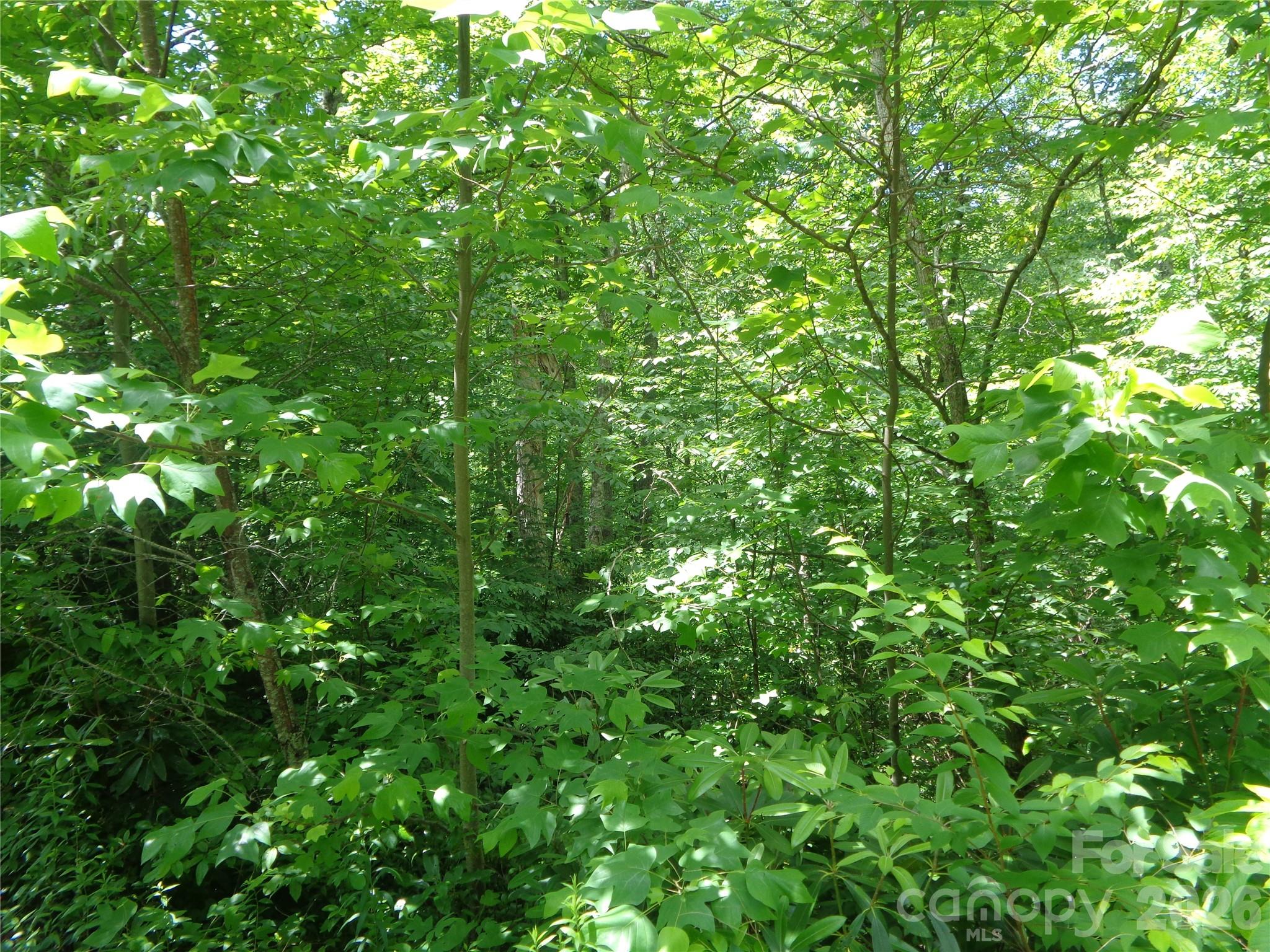 Lot 6 Peaks Creek Trail Property Photo 7