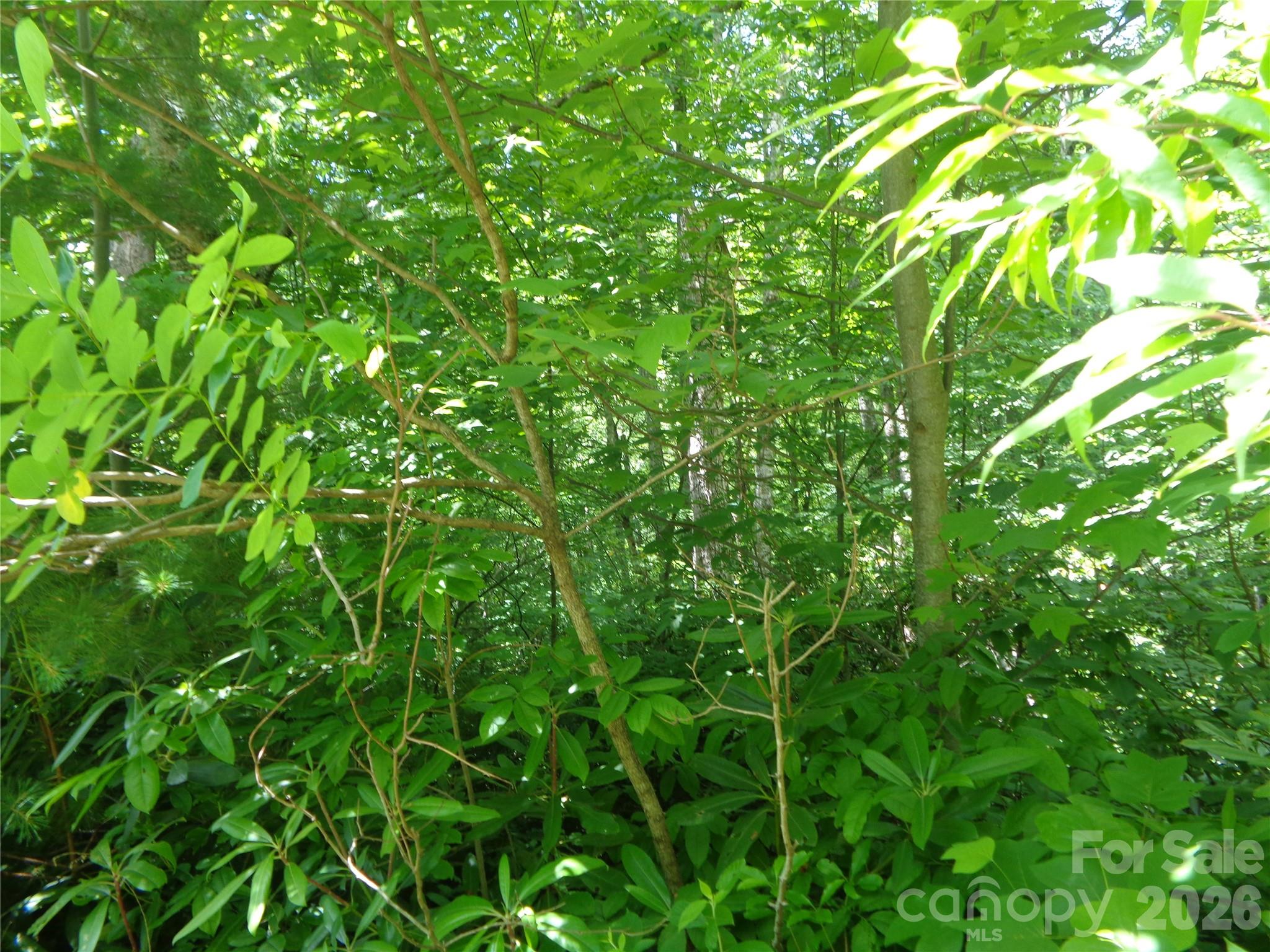 Lot 6 Peaks Creek Trail Property Photo 8