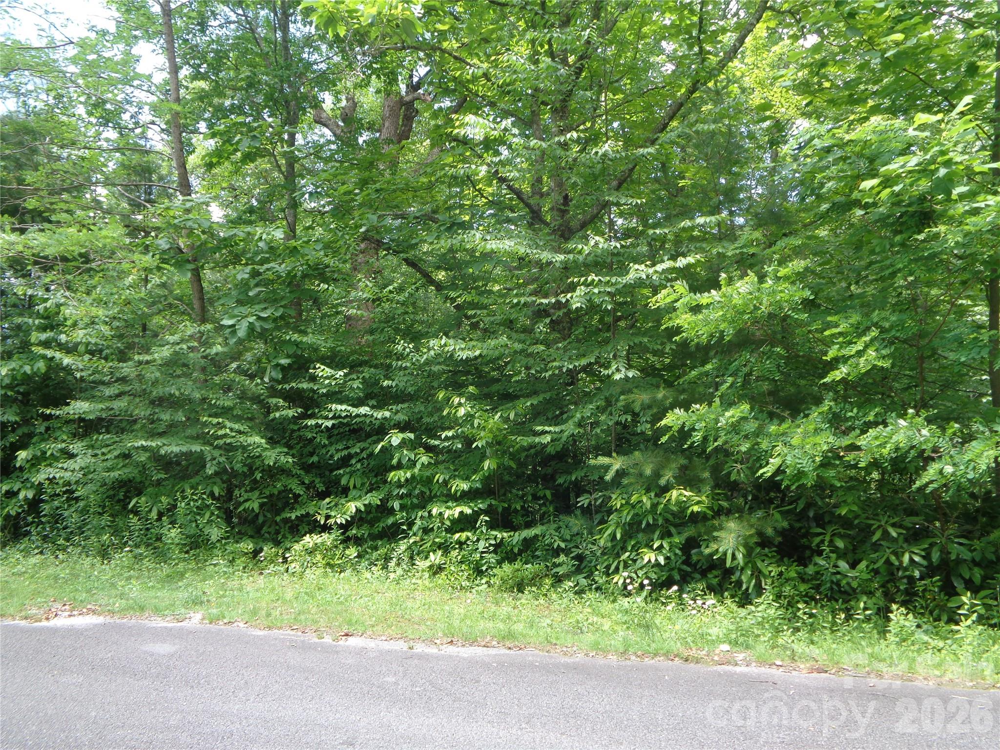 Lot 6 Peaks Creek Trail Property Photo 9