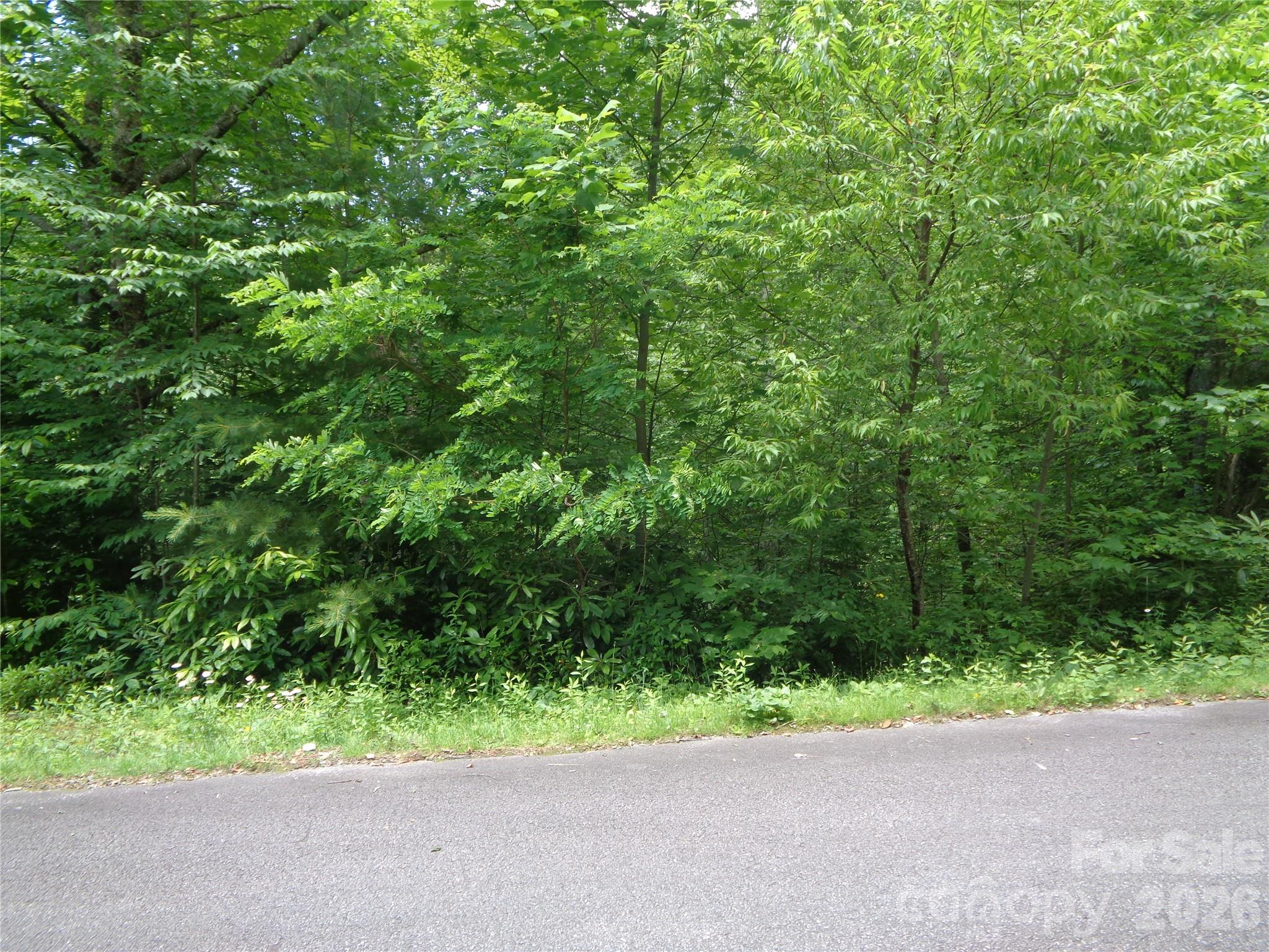 Lot 6 Peaks Creek Trail Property Photo 10
