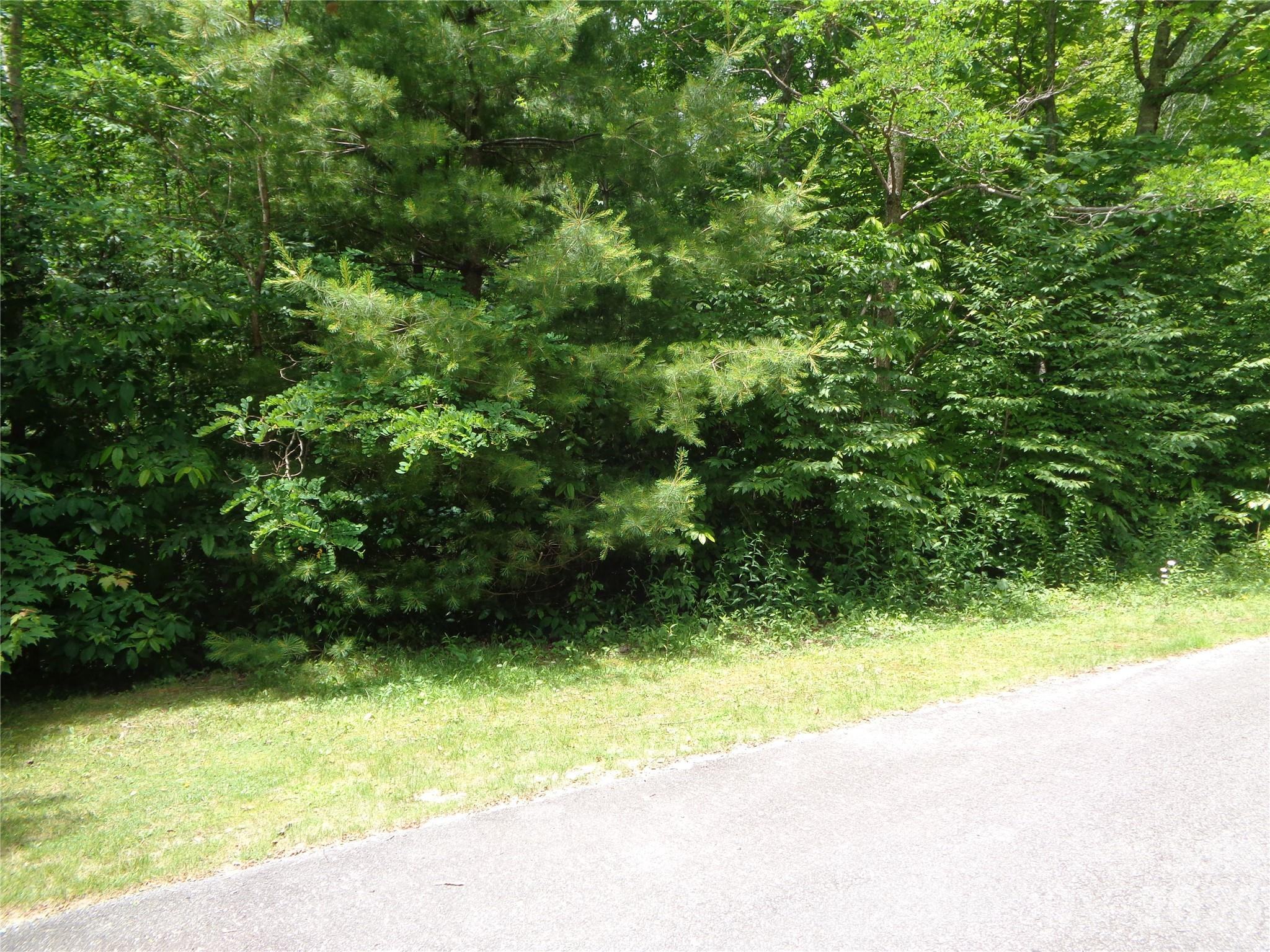 Lot 6 Peaks Creek Trail Property Photo 11