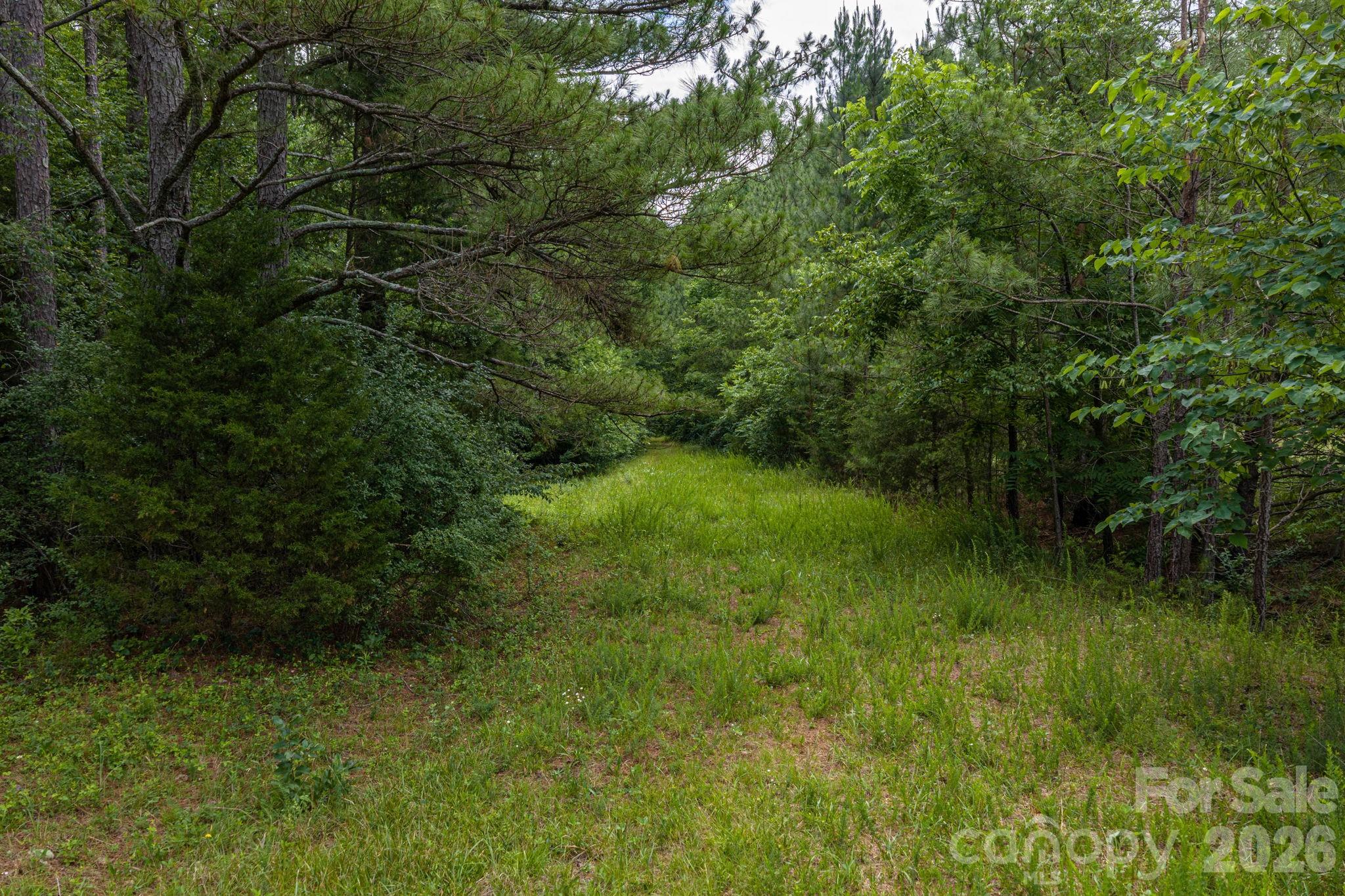 000 Logan Land Road Property Photo 3