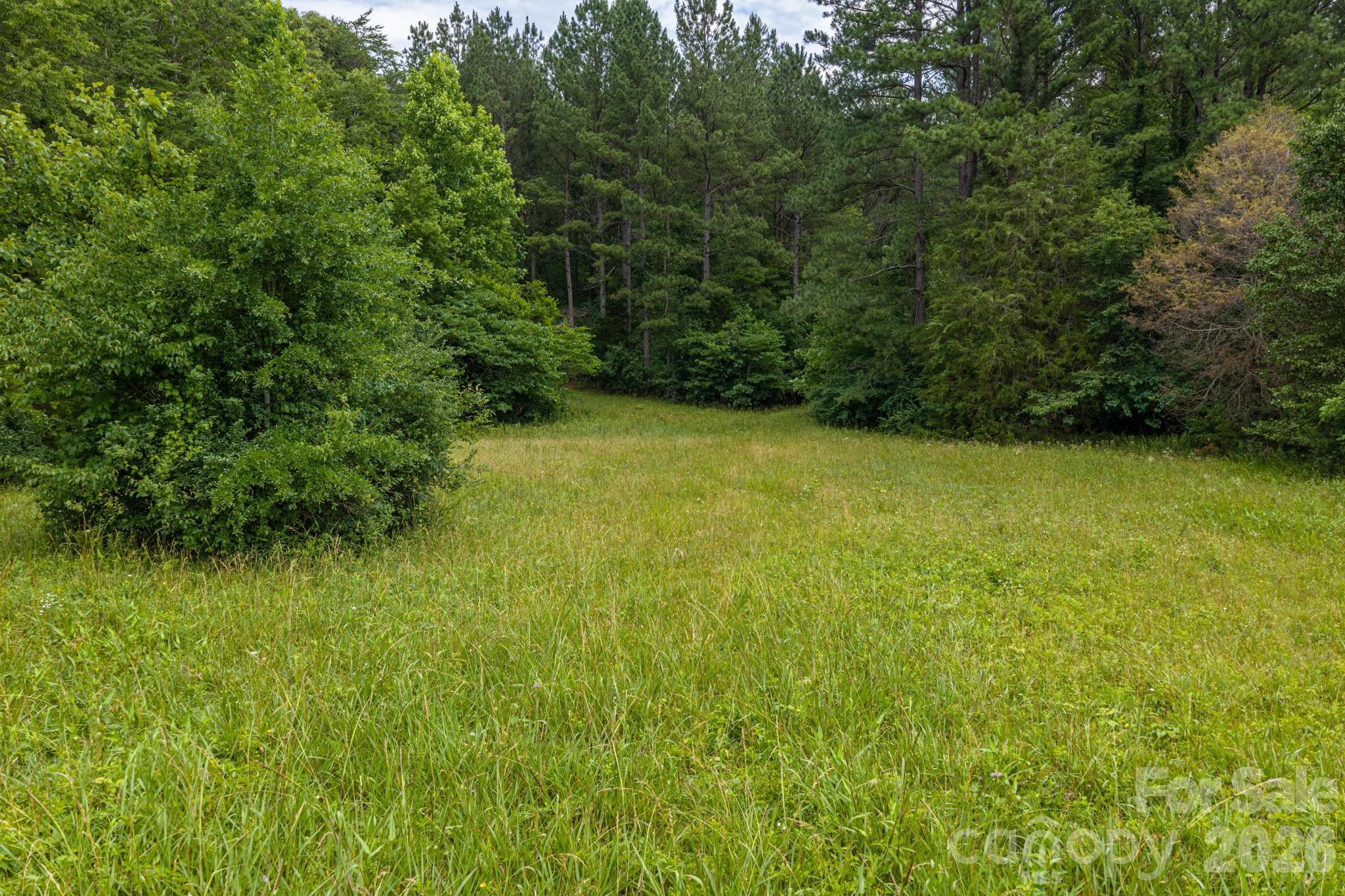 000 Logan Land Road Property Photo 4