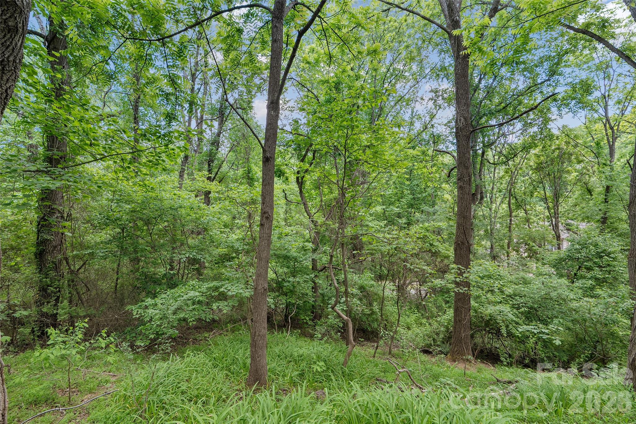 00000 Timberwood Drive Property Photo 4
