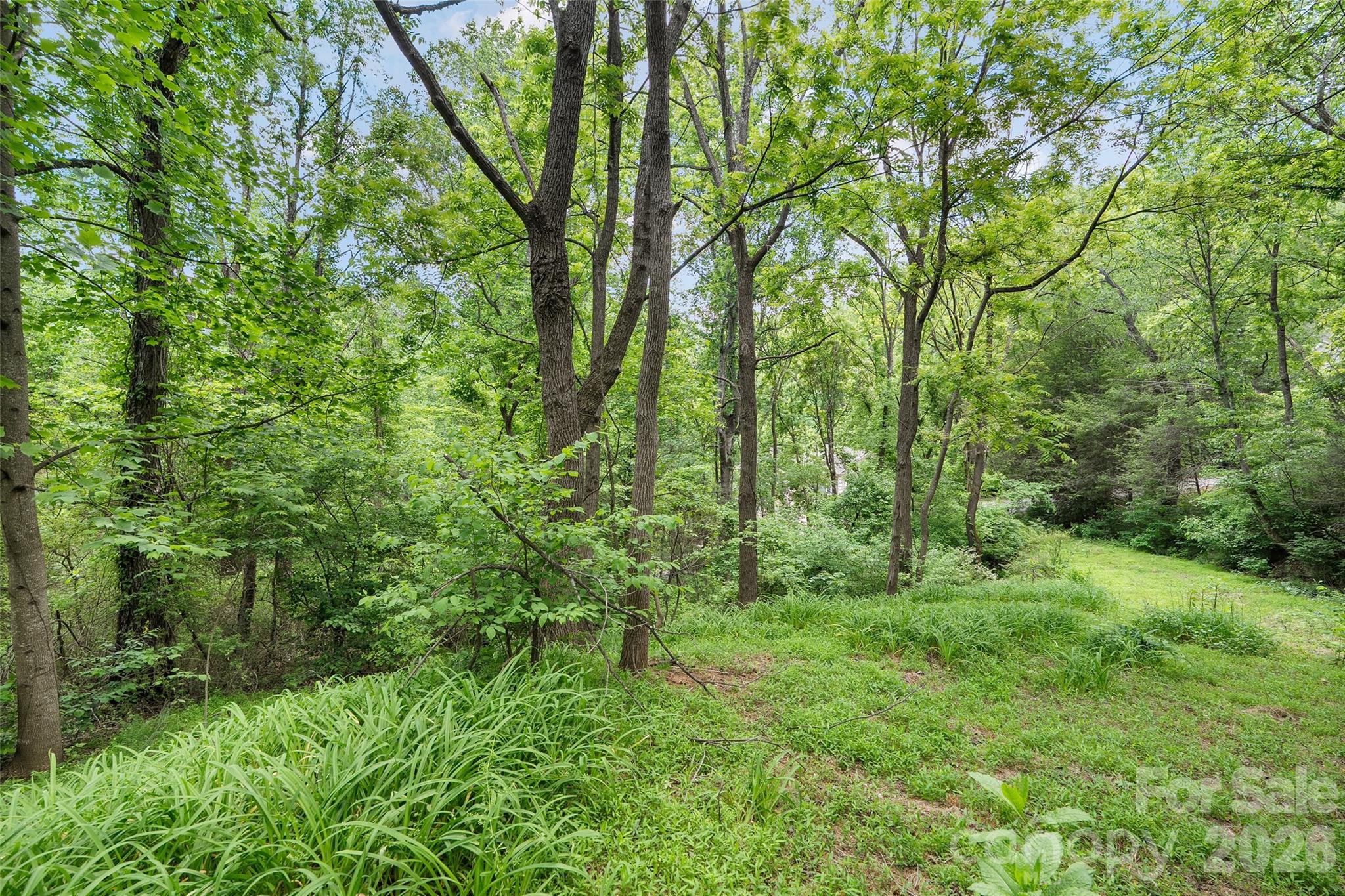 00000 Timberwood Drive Property Photo 6