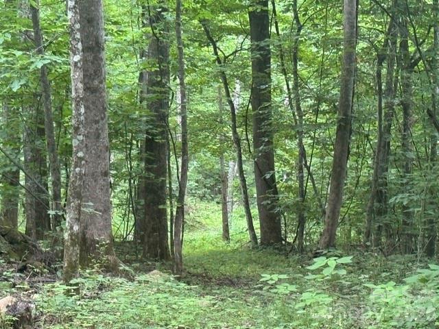 00 Sugar Loaf Mountain Road Property Photo 1