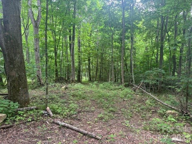 00 Sugar Loaf Mountain Road Property Photo 2