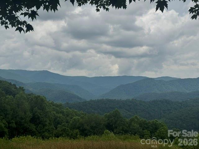 00 Sugar Loaf Mountain Road Property Photo 3