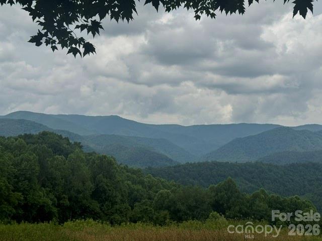 00 Sugar Loaf Mountain Road Property Photo 4