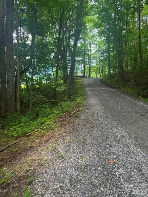 00 Sugar Loaf Mountain Road Property Photo 5
