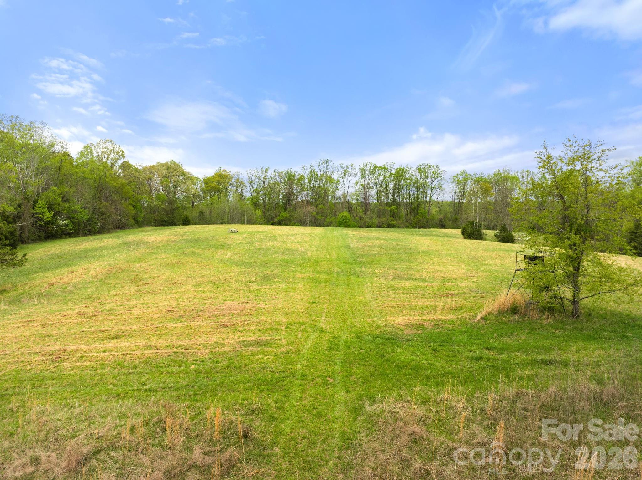 0 Dalton Road Property Photo 2
