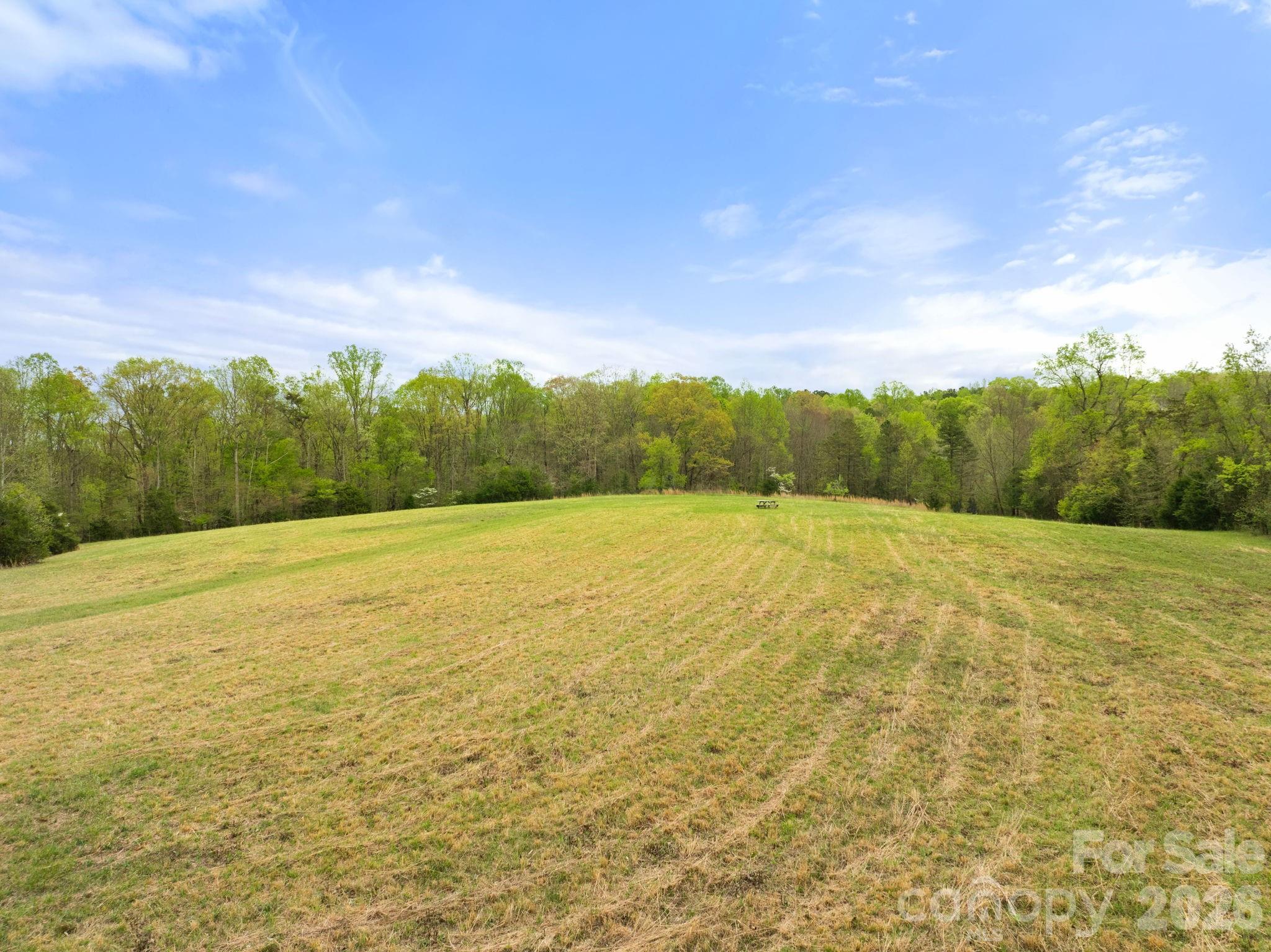 0 Dalton Road Property Photo 3