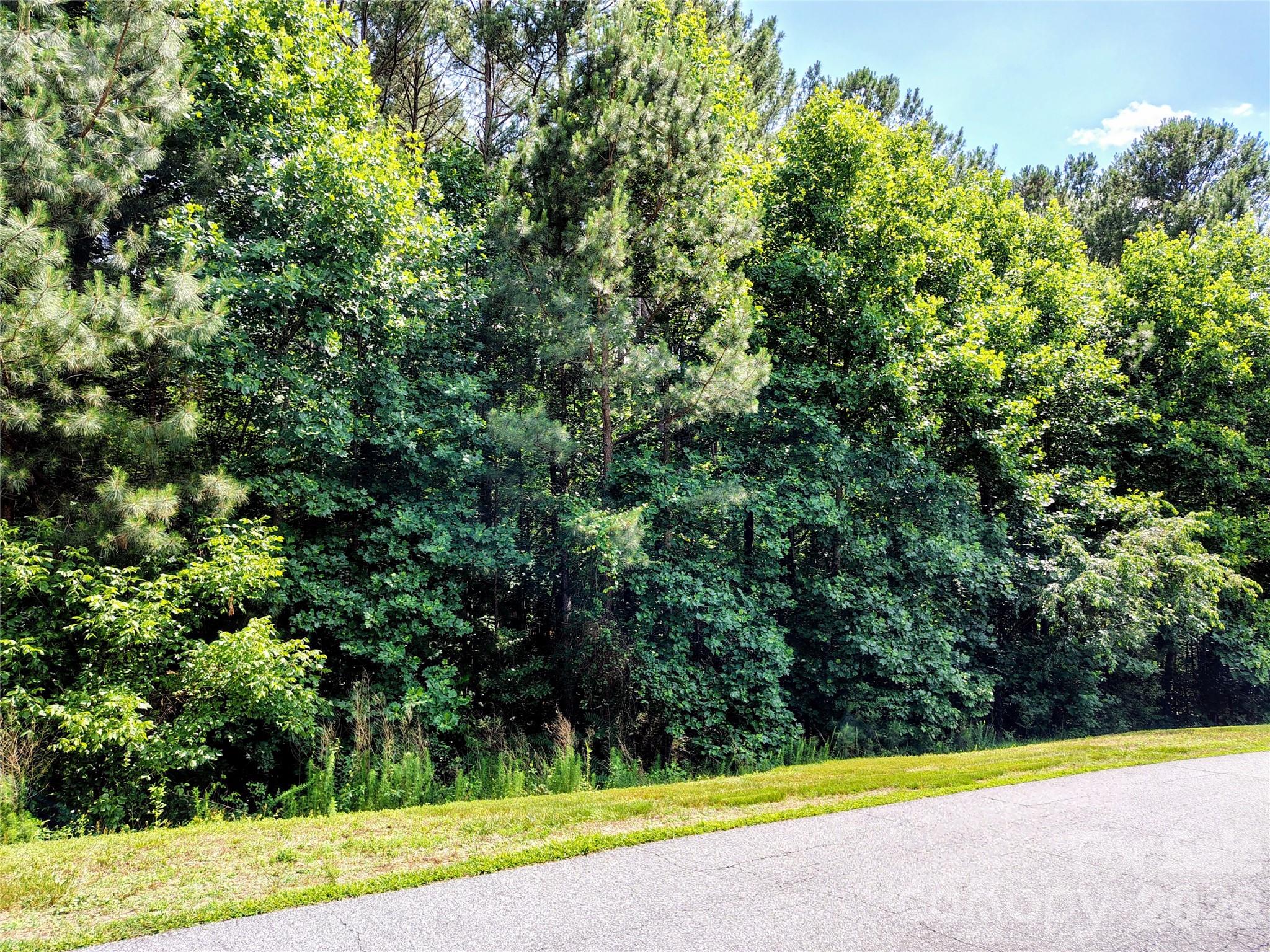 210 Harbor Ridge Drive Property Photo 6