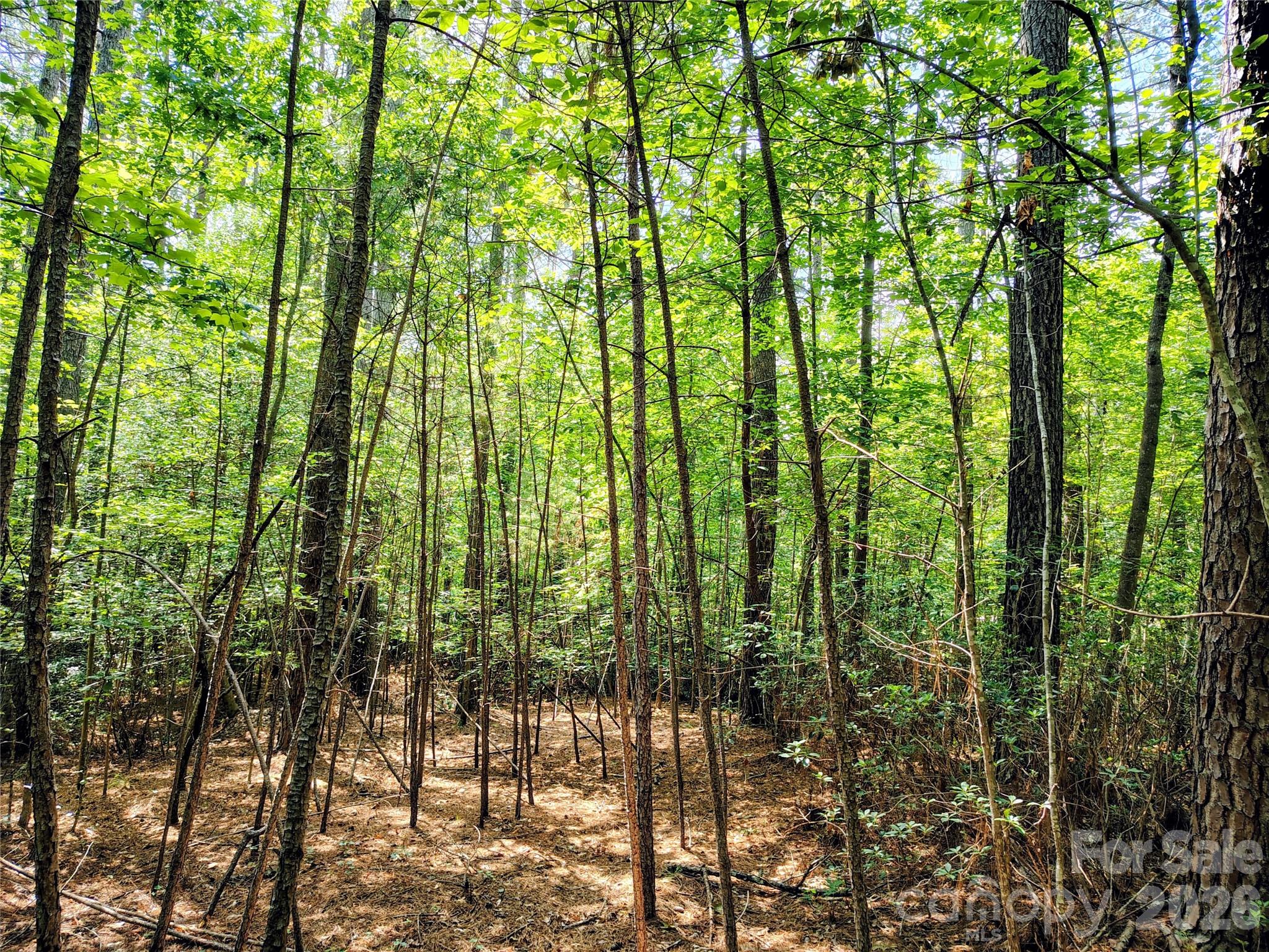 210 Harbor Ridge Drive Property Photo 8