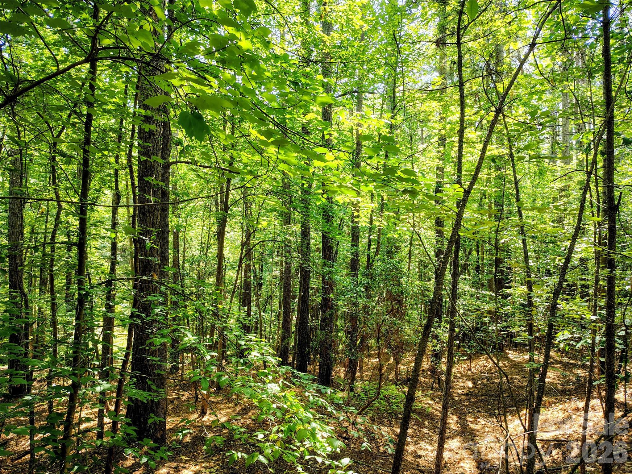 210 Harbor Ridge Drive Property Photo 9