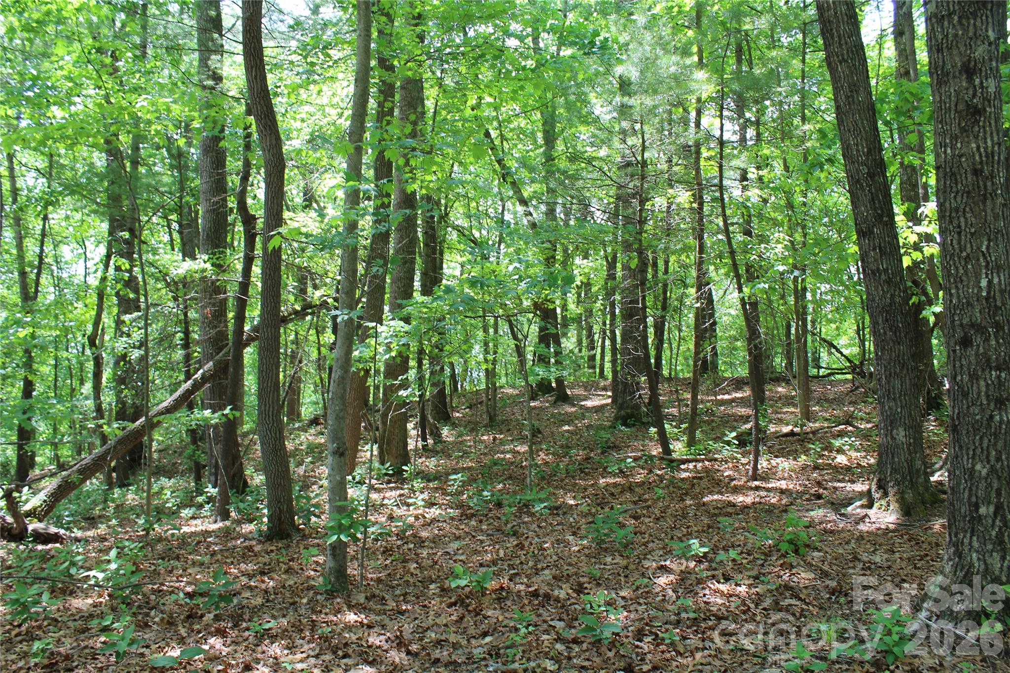 000 Northview Drive 13 Property Photo 7
