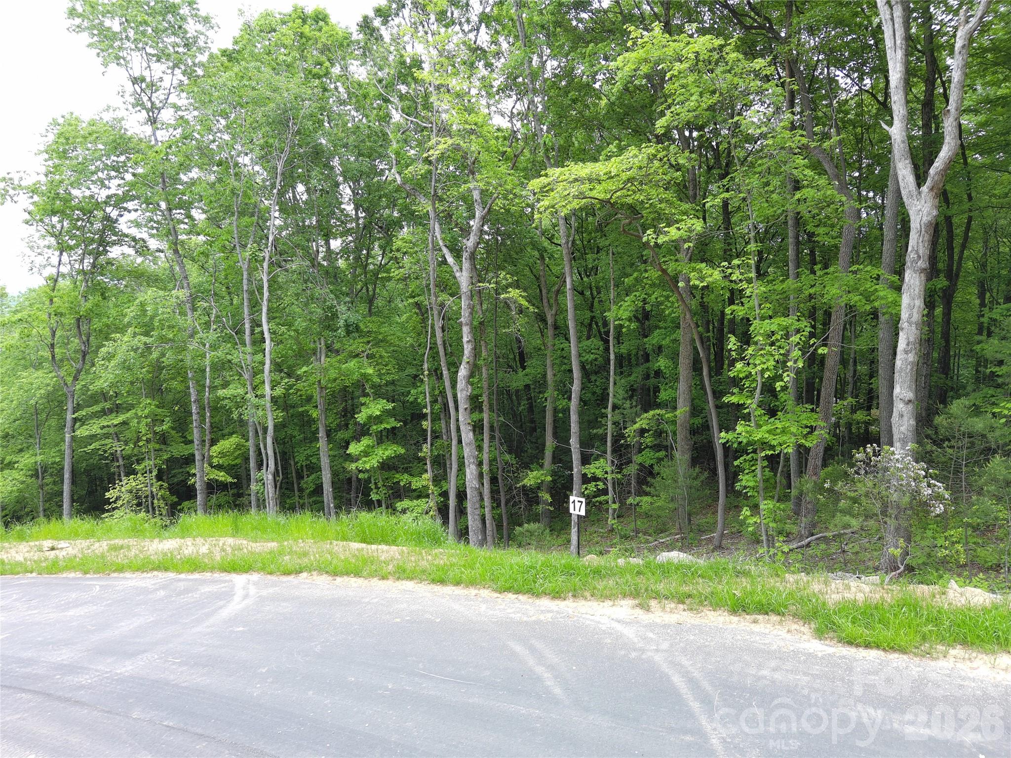 Lot 17 Northview Drive Property Photo 3