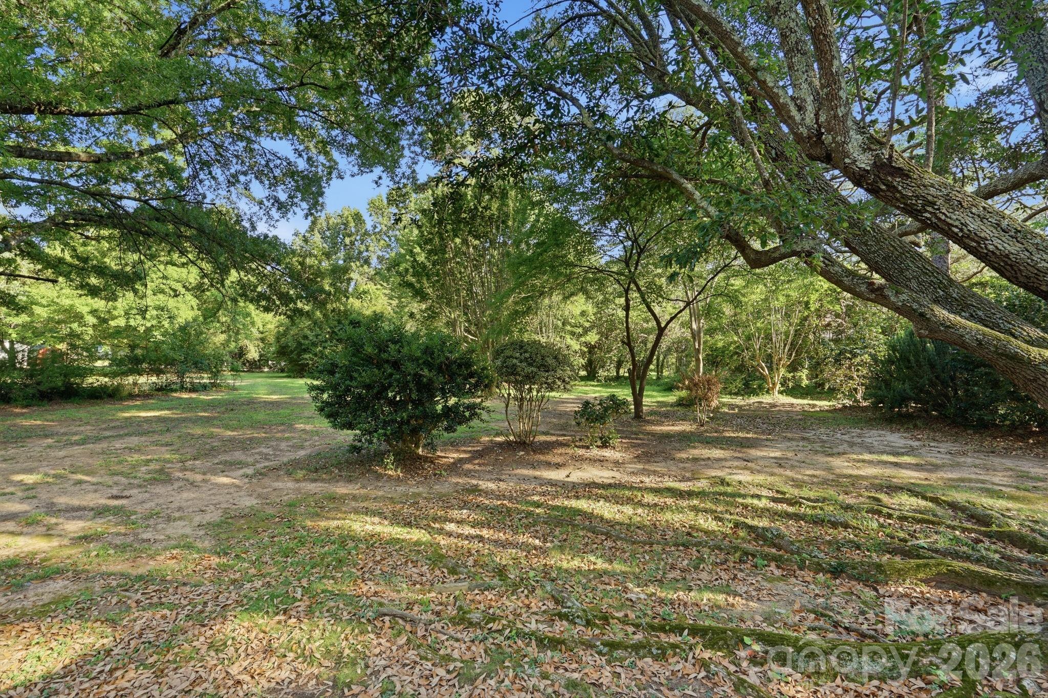 127 Forest Hills Drive Property Photo 42