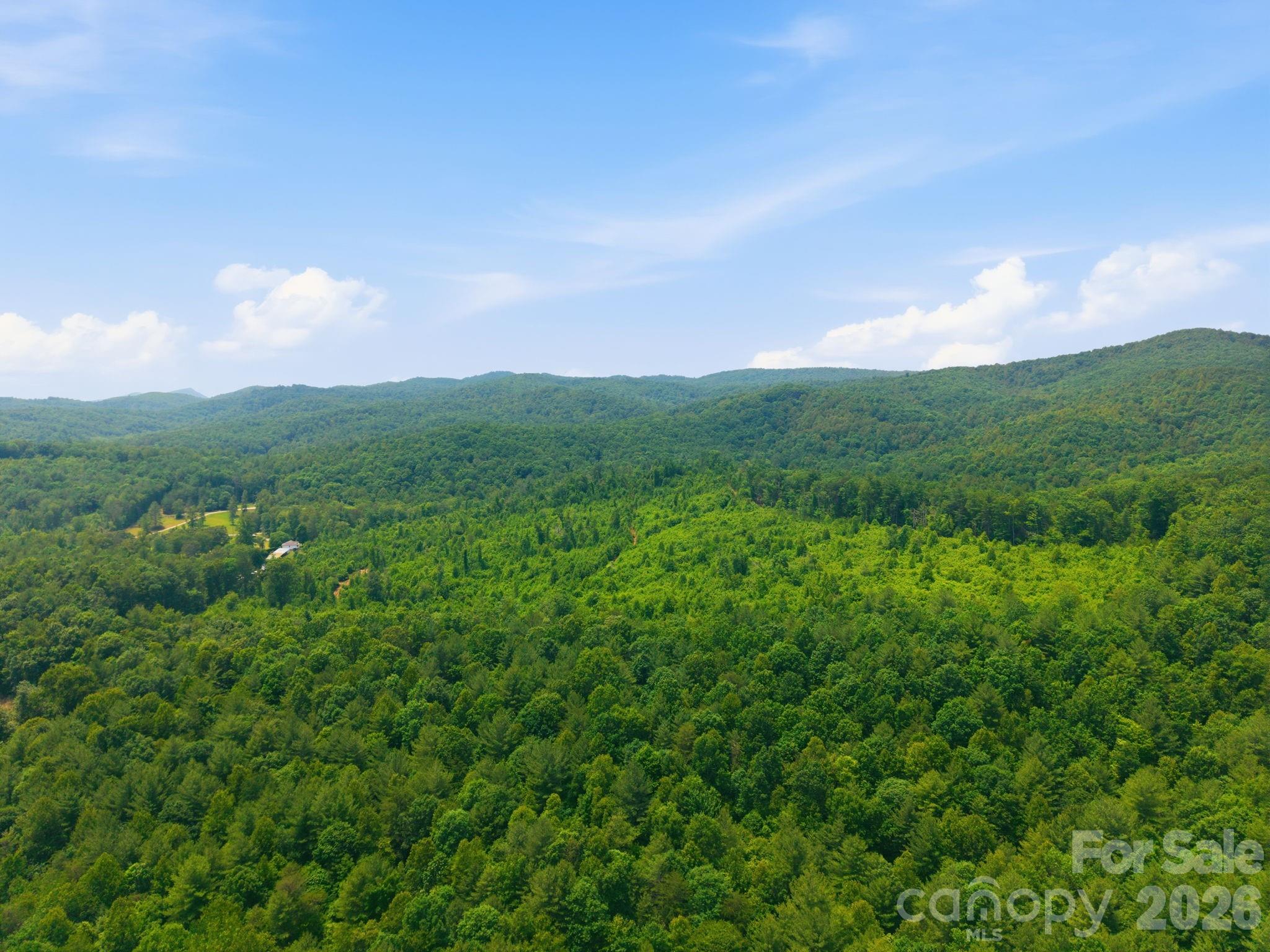 2148 White Springs Lane Property Photo 6