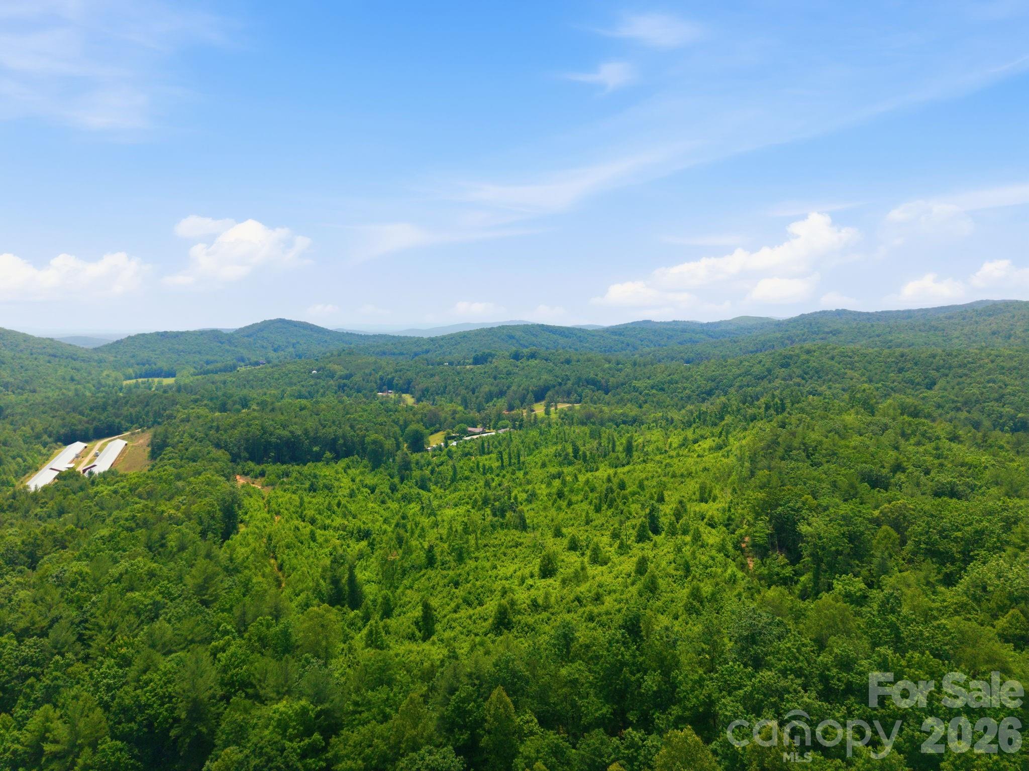 2148 White Springs Lane Property Photo 7
