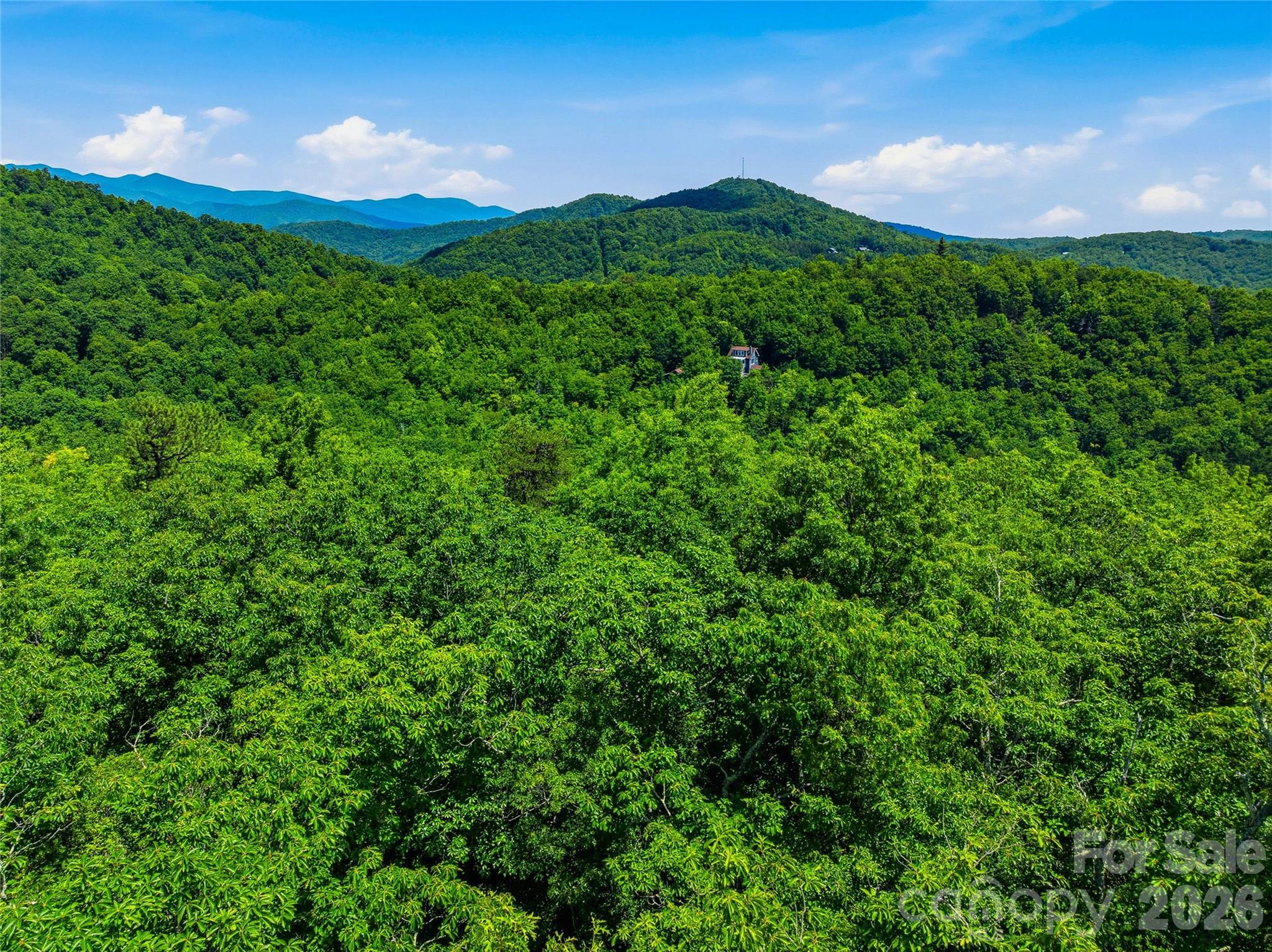 999 Miller Cove Road Property Photo 13